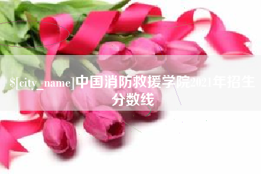 临清中国消防救援学院2021年招生分数线