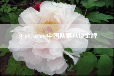 临清中国队第八块金牌