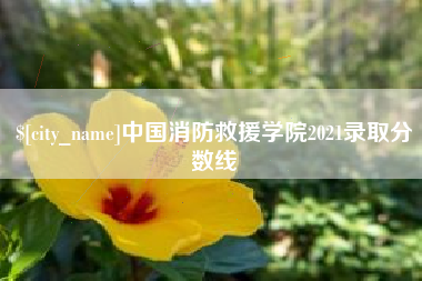 临清中国消防救援学院2021录取分数线