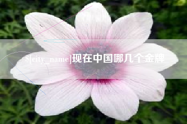 临清现在中国哪几个金牌