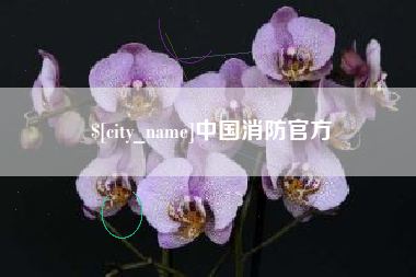 临清中国消防官方