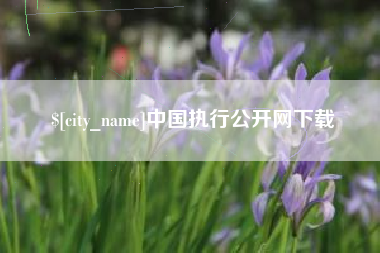 临清中国执行公开网下载