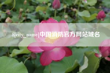 临清中国消防官方网站域名