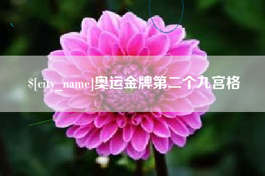 临清奥运金牌第二个九宫格
