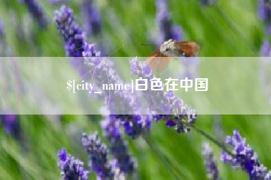 临清白色在中国