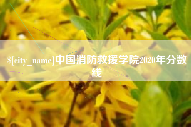 临清中国消防救援学院2020年分数线