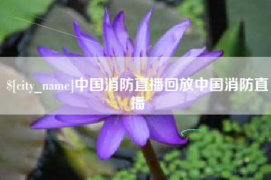 临清中国消防直播回放中国消防直播