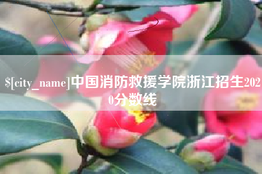 临清中国消防救援学院浙江招生2020分数线