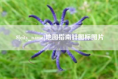 临清地图指南针图标图片