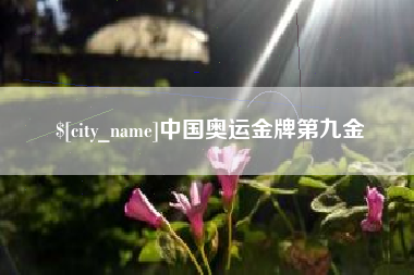 临清中国奥运金牌第九金