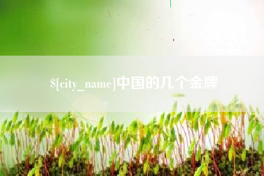临清中国的几个金牌