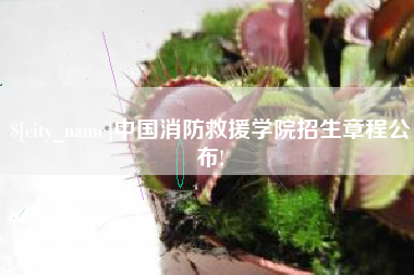 临清中国消防救援学院招生章程公布!