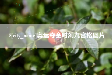 临清奥运夺金时刻九宫格图片