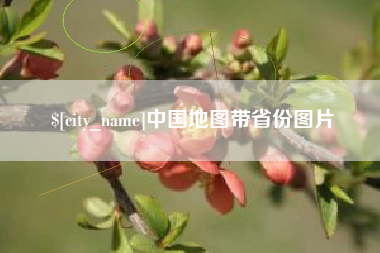 临清中国地图带省份图片