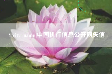临清中国执行信息公开网失信