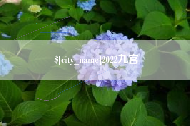 临清2022九宫