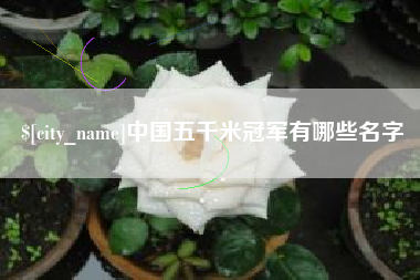 临清中国五千米冠军有哪些名字