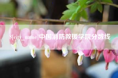临清中国消防救援学院分数线