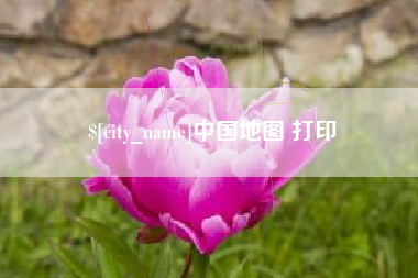 临清中国地图 打印