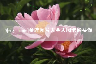 临清金牌图片大全大图卡通头像