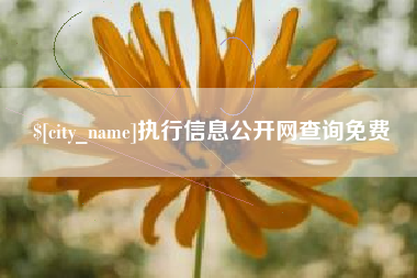 临清执行信息公开网查询免费