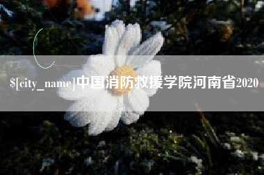 临清中国消防救援学院河南省2020